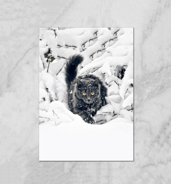Плакат с изображением Кот в Снегу цвета Белый