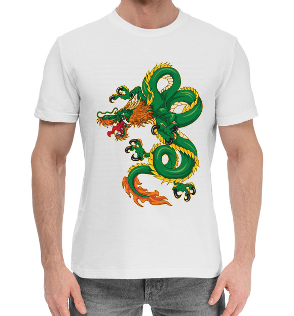 Мужская хлопковая футболка с изображением Драконы цвета Белый