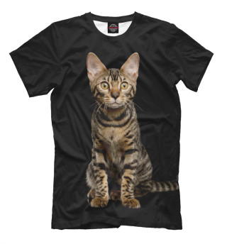 Мужская футболка Бенгальский кот