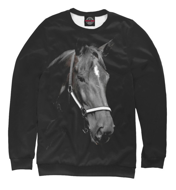 Свитшот для мальчиков с изображением Черный конь цвета Белый
