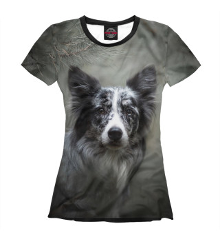 Женская футболка Собака в хвойном лесу