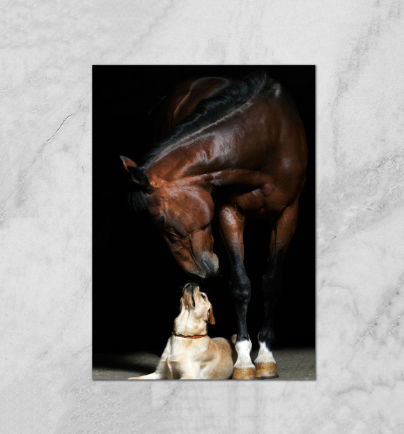 Плакат с изображением Лошадь и пес цвета Белый