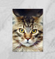 Плакат Пушистый кот