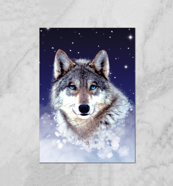 Плакат с изображением Ночной волк цвета Белый