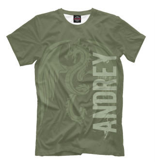 Мужская футболка Андрей и дракон