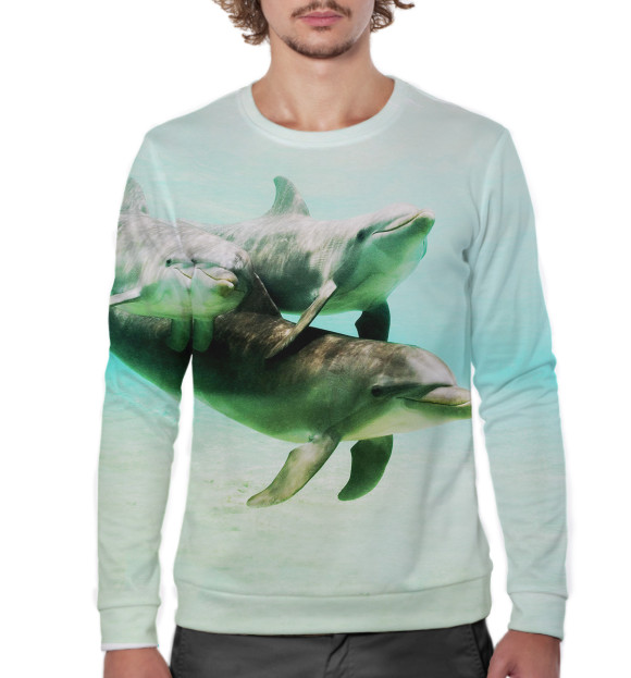 Мужской свитшот с изображением Дельфины цвета Белый