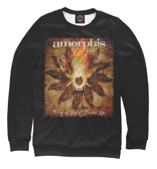 Свитшот для мальчиков Amorphis