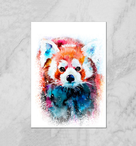 Плакат с изображением Красная панда цвета Белый