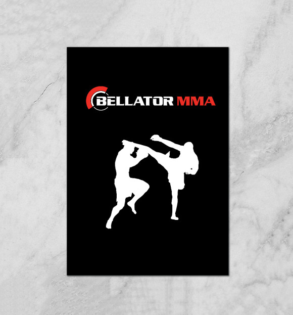 Плакат с изображением MMA цвета Белый