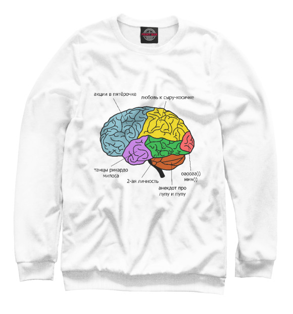 Мужской свитшот с изображением Строение мозга цвета Белый