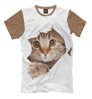 Мужская футболка Котёнок
