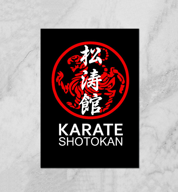 Плакат с изображением Karate Shotokan цвета Белый