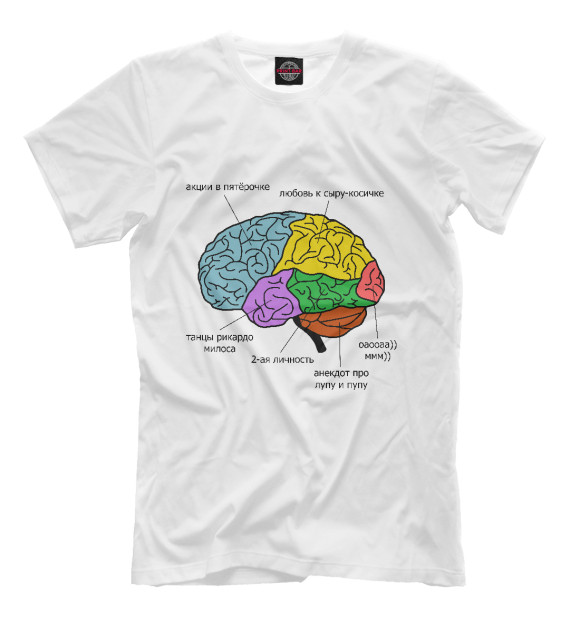 Мужская футболка с изображением Строение мозга цвета Молочно-белый
