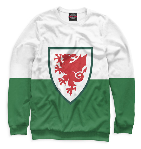 Свитшот для мальчиков с изображением Футбольная лига Уэльса цвета Белый