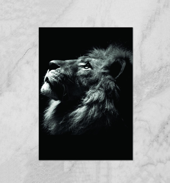 Плакат с изображением Lion цвета Белый