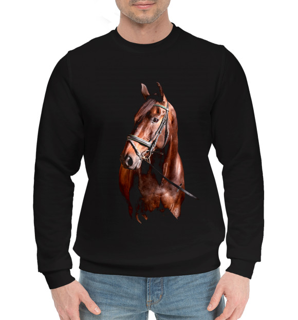 Мужской хлопковый свитшот с изображением Лошади цвета Черный