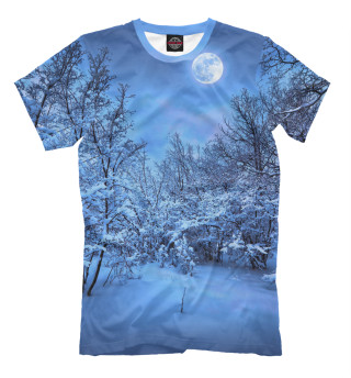 Мужская футболка Снежный ночь