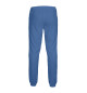 Мужские спортивные штаны ВОЕННО-ВОЗДУШНЫЕ СИЛЫ (синий фон)
