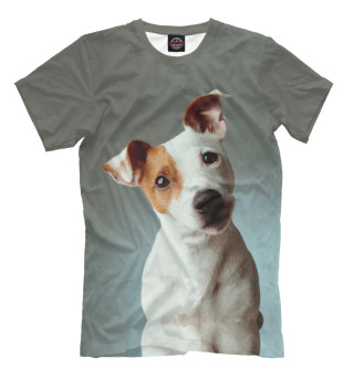Мужская футболка Jack Russell Terrier