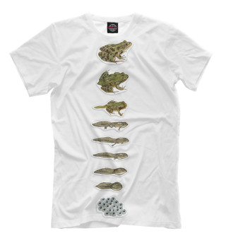 Мужская футболка Развитие лягушки