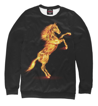 Свитшот для мальчиков Огненная лошадь