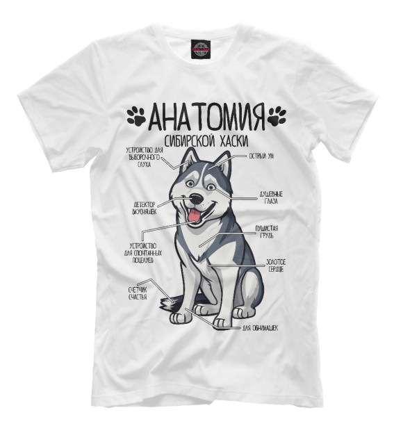 Мужская футболка с изображением Сибирский Хаски анатомия строение собаки цвета Белый
