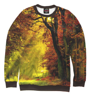 Свитшот для мальчиков Осенний лес