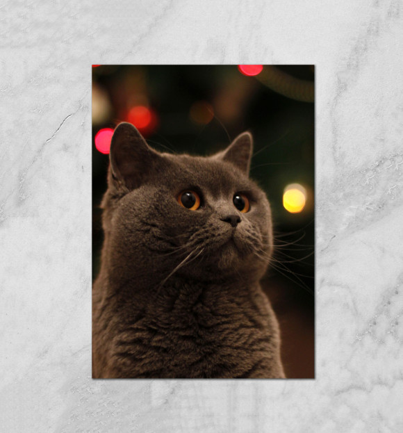 Плакат с изображением Новогодний кот цвета Белый
