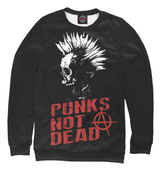 Свитшот для девочек Punk’s Not Dead