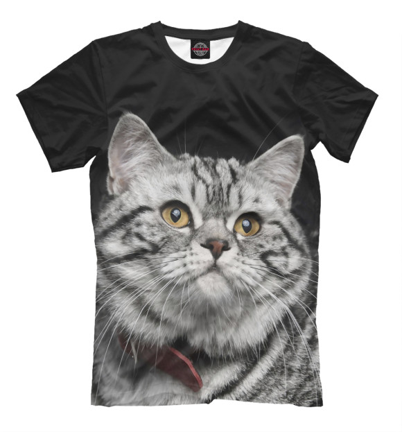 Мужская футболка с изображением Серый кот цвета Молочно-белый