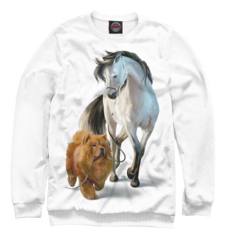 Чау-чау и белый конь