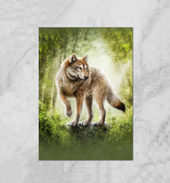 Плакат с изображением Волк цвета Белый