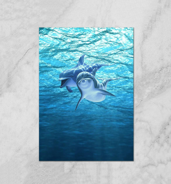 Плакат с изображением Два дельфина цвета Белый