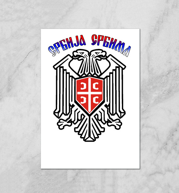 Плакат с изображением Сербия цвета Белый