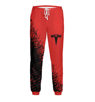 Мужские спортивные штаны Tesla / Тесла