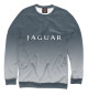 Свитшот для мальчиков Jaguar / Ягуар