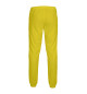 Мужские спортивные штаны Цвет Рапсово-желтый