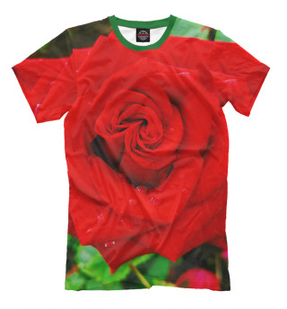 Мужская футболка Красная роза на листве