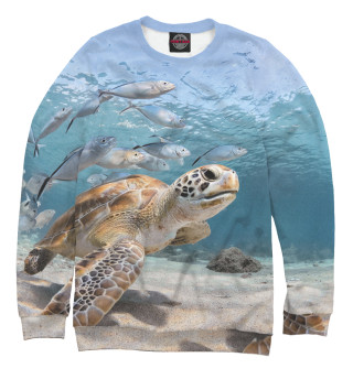 Свитшот для мальчиков Морская черепаха