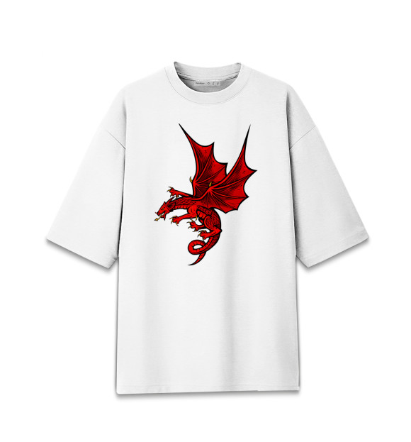 Мужская футболка оверсайз с изображением Драконы цвета Белый